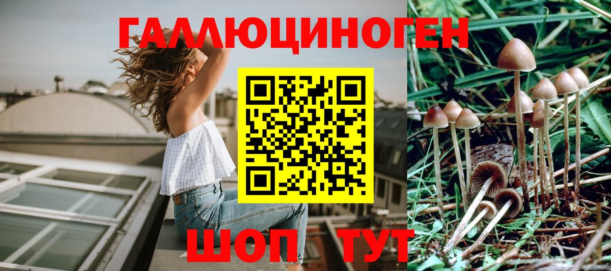 Псилоцибиновые грибы GOLDEN TEACHER Губаха