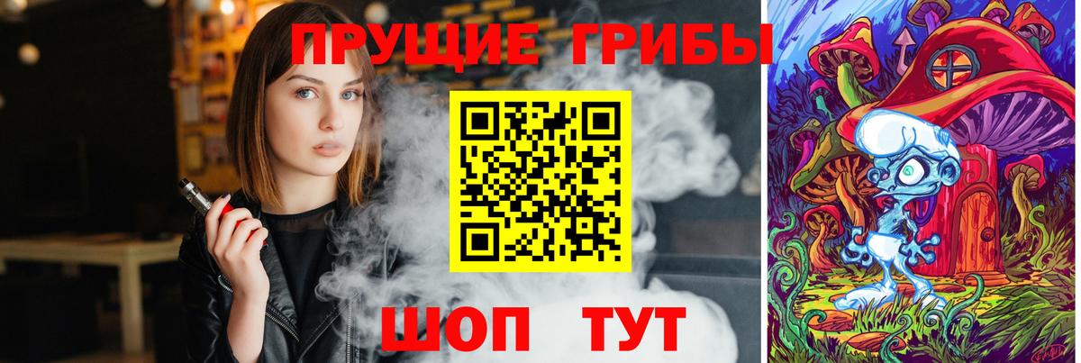 Псилоцибиновые грибы Magic Shrooms  Вход с VPN  Галлюциногенные грибы Psilocybe  дарнет шоп  Губаха 